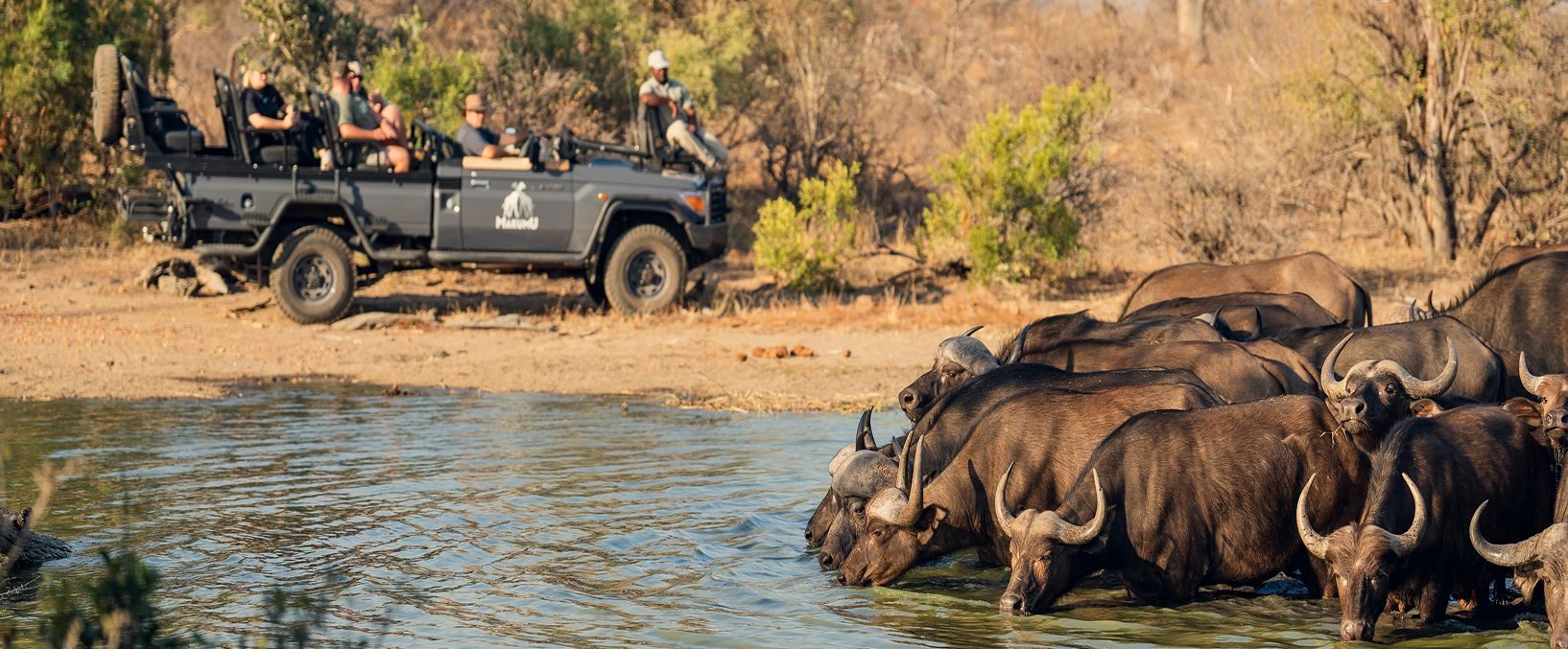 Makumu Safari Game Drives Image