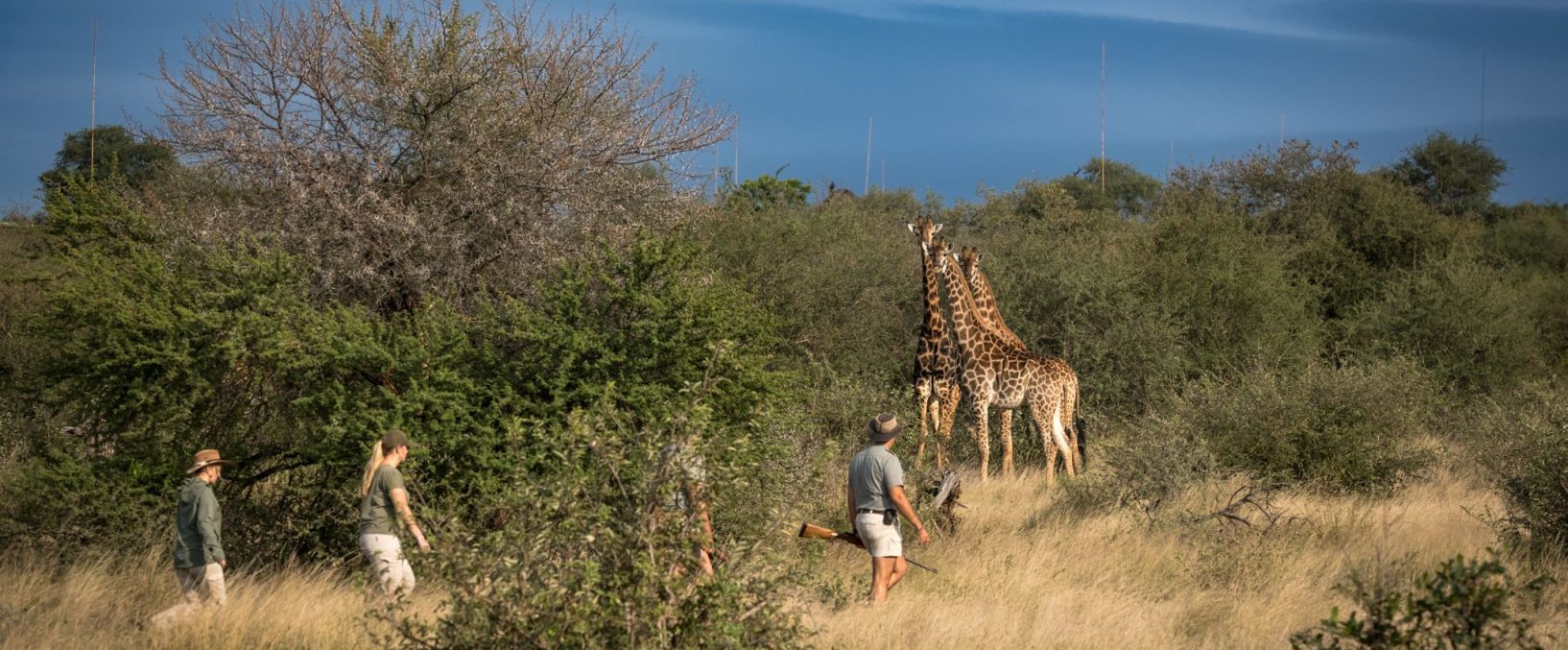 Walking-Safari